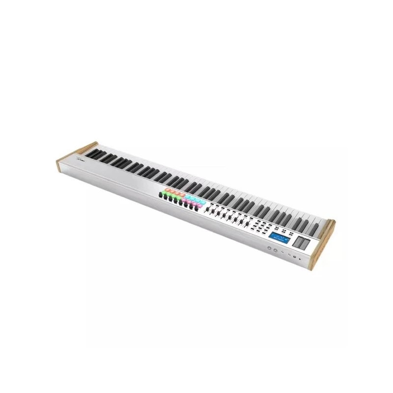Worlde Pro 88key Midi Keyboard - огляд і ціна Midi Keyboard Controller 88 Key